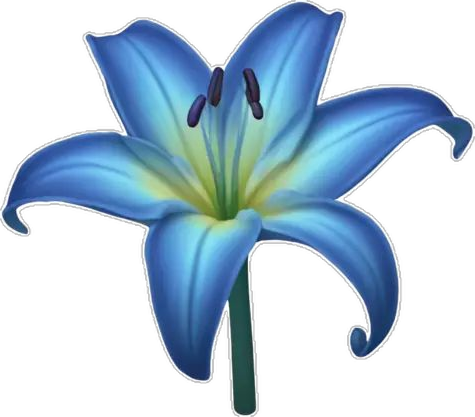 Blue Lily