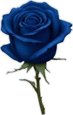 Blue Rose