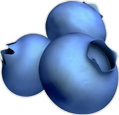 Blueberry
